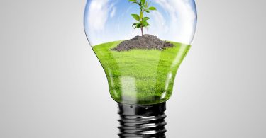 Efficacité des ampoules à economies d'energie - Annuaire Ecolo
